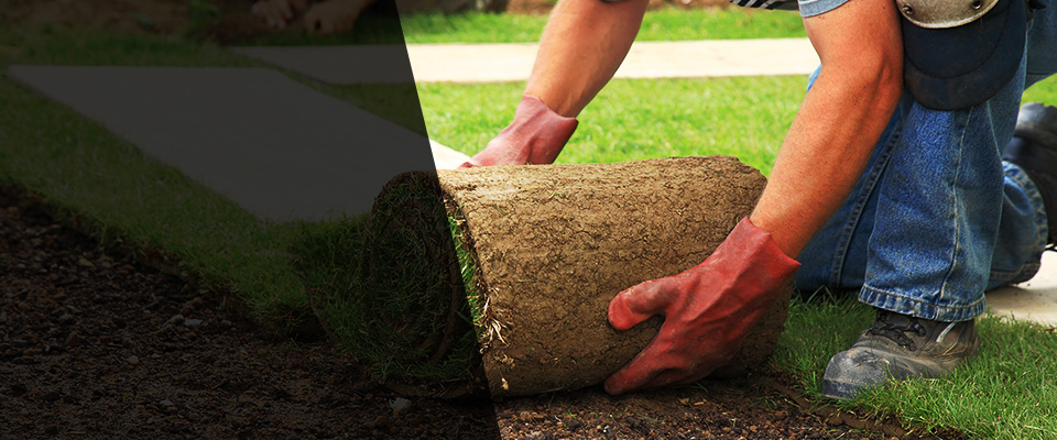 Benton Harbor Landscapers